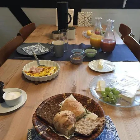 公寓 Dyssegaard Skallerup