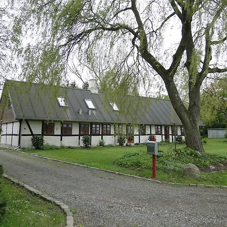 Dyssegaard Skallerup